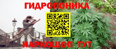 стафф Бузулук
