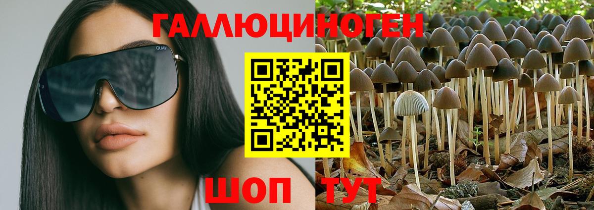 Галлюциногенные грибы мицелий Костомукша
