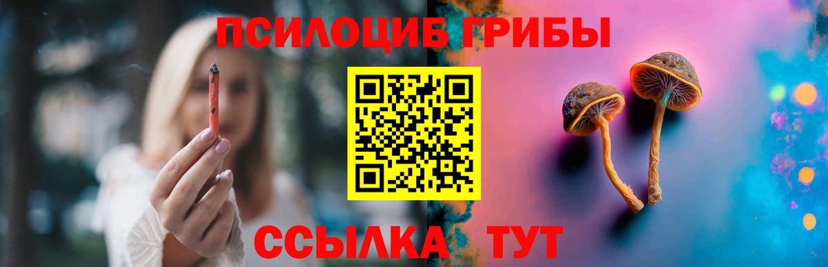 Костомукша  Псилоцибиновые грибы MAGIC MUSHROOMS  Вход с VPN  Галлюциногенные грибы Psilocybe 